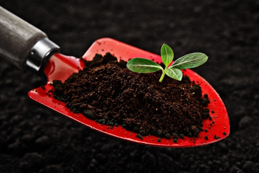 簡単に作れる 栄養満点のコーヒーかす肥料作り７ポイント 柿田川珈琲のブログ