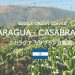 【カサブランカ農園】ニカラグアのコーヒーの特徴は？果実系の美味しい酸味を堪能♪